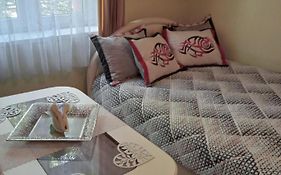 Cozy Apartament Krakow Kazimierz